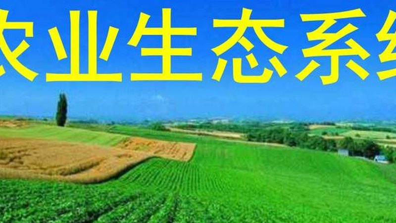 农资批发与零售，有何不同？**