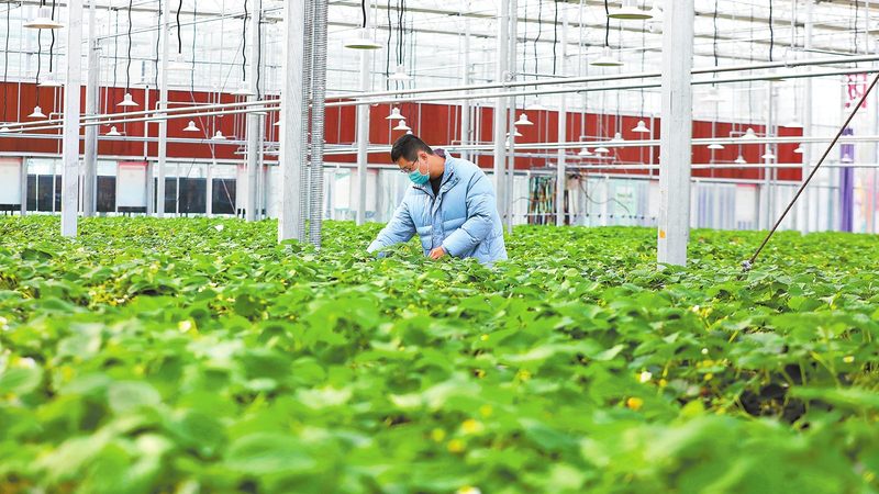 如何与种植户建立稳固的农资代理合作关系**