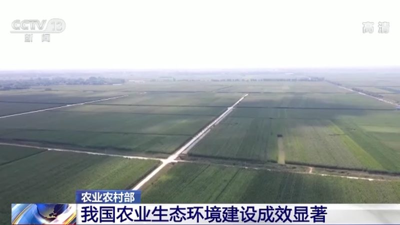 休闲农业特色民宿，定制你的田园生活