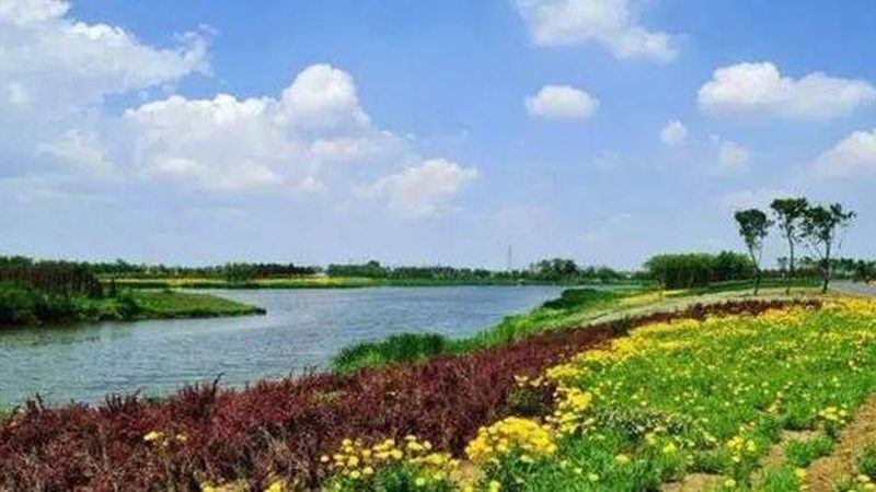 合作社土地流转合法吗