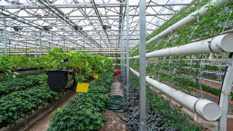 果蔬配送合同范本2024：构建稳定供应链的关键