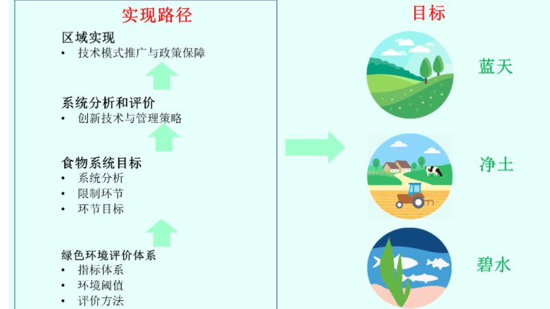 学校蔬菜配送验收标准：保障校园食品安全的关键