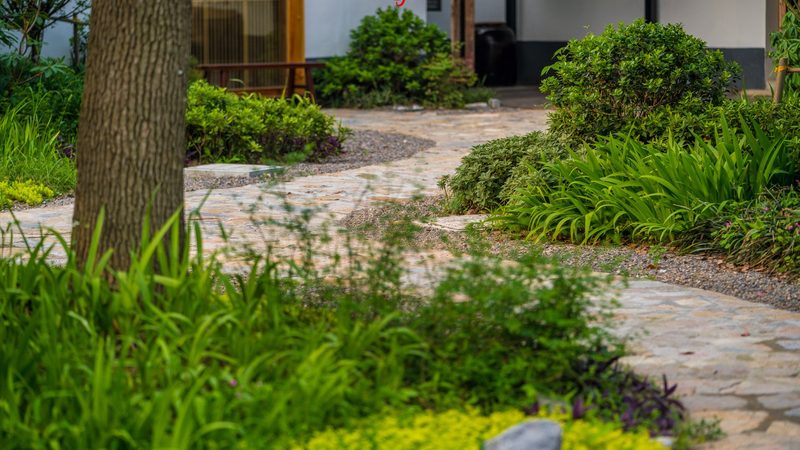 南方水果种植基地合作模式：共建共赢的生态之道**