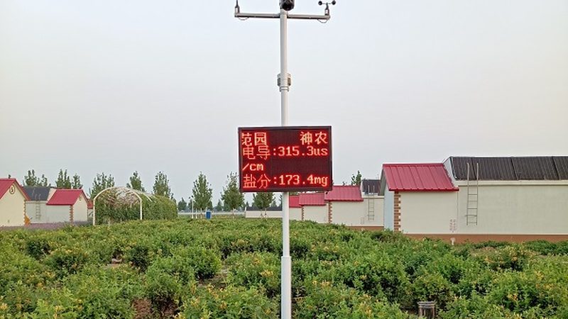农产品配送系统：功能对比与关键考量