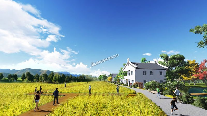 农业种植机械：如何选择适合的厂家与产品