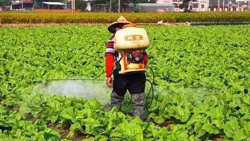上海水果物流费用：揭秘影响价格的关键因素