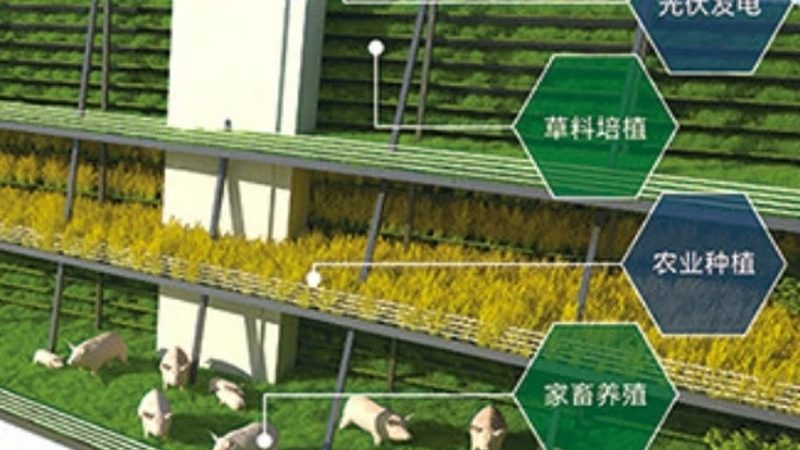 生鲜店与农产品批发市场：价格对比背后的真相