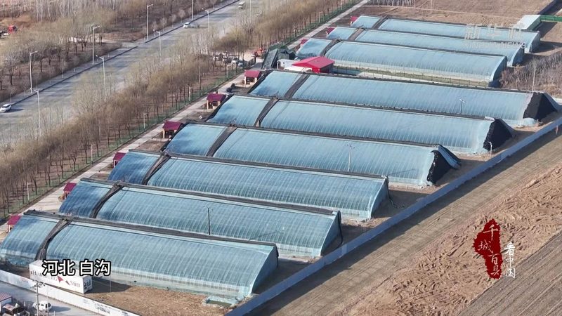 农资零售商如何搭建一手货源渠道**