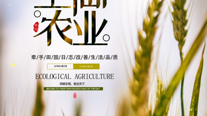 设施农业大棚补贴政策解析：标准解读与申请指南